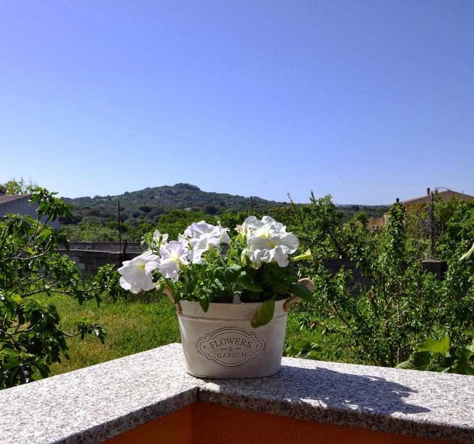 Casa Duminicheddha, Mare E Relax In Gallura Bassacutena Exterior photo